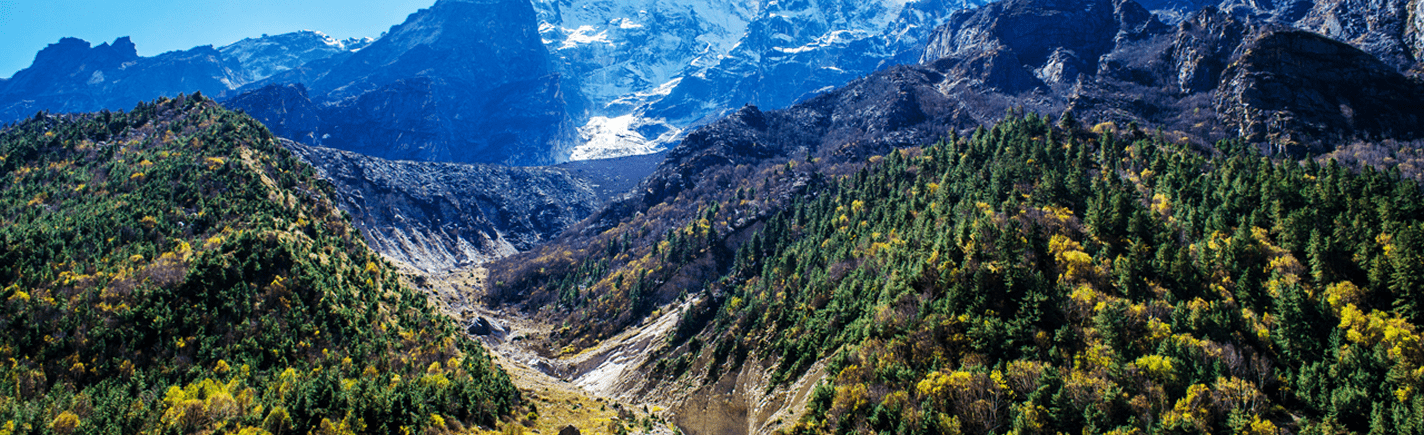 Gangotri National Park