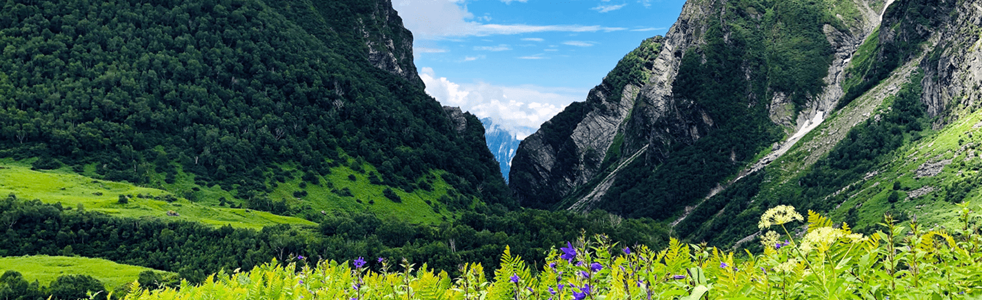 Valley of Flowers National Park