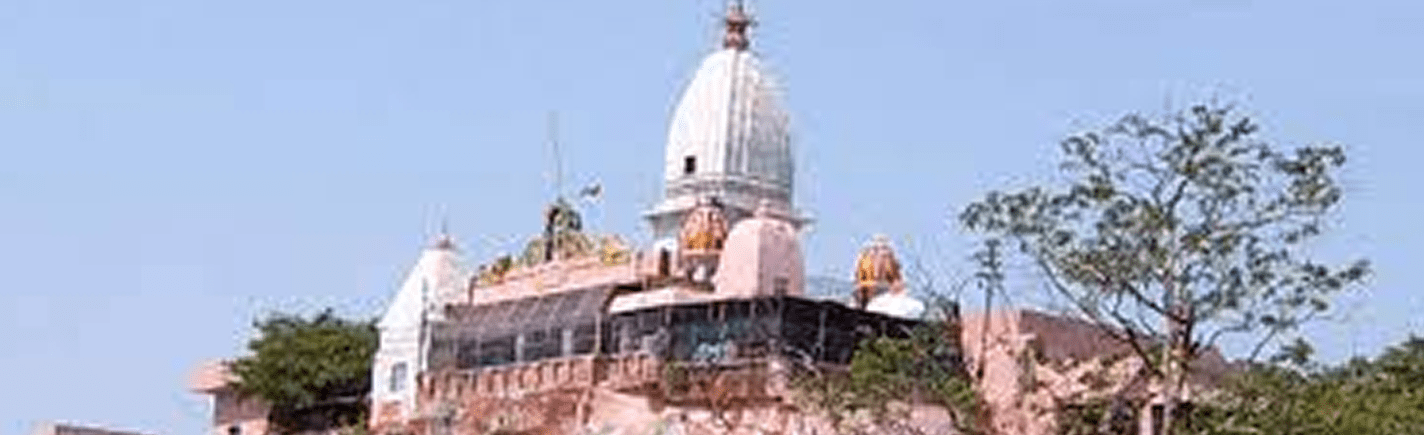 Maa Mansa Devi Mandir