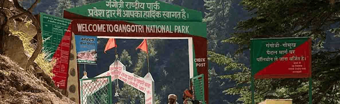 Gangotri National Park