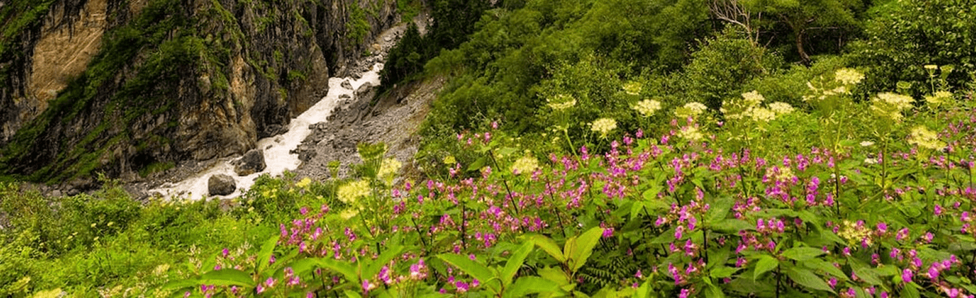 Nanda Devi National Park