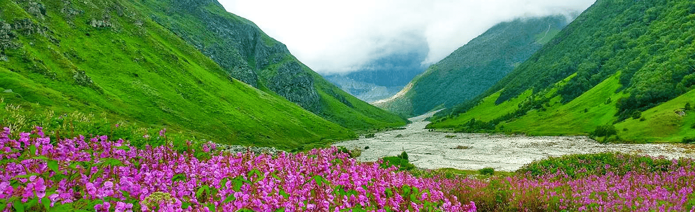 Valley of Flowers National Park