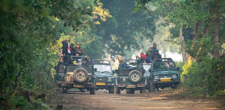Rajaji National Park Tours