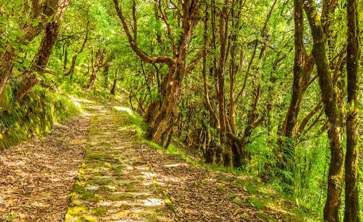Binsar Wildlife Tours