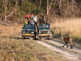 Jim Corbett Wildlife Tours