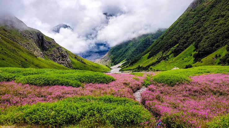 Nanda Devi National Park Tours