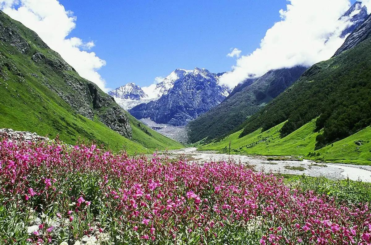 Nanda Devi & Valley of Flowers Nature Expedition