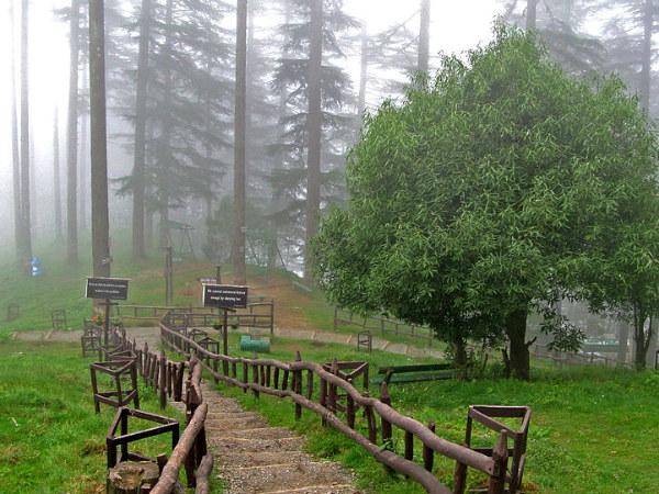 Dhanaulti Honeymoon Tour Package