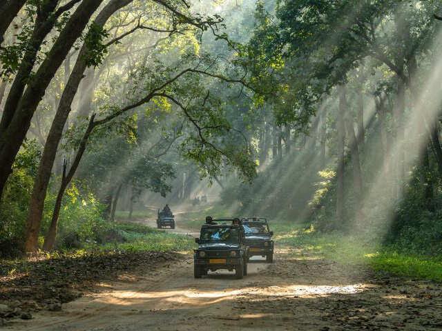 Jim Corbett Jungle Safari & Nature Retreat