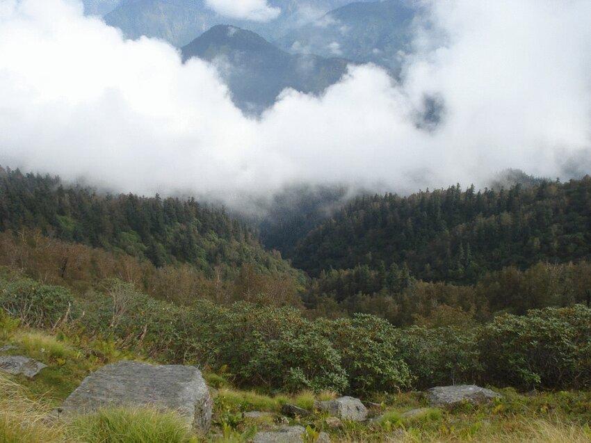 Askot Wildlife & Himalayan Nature Tour