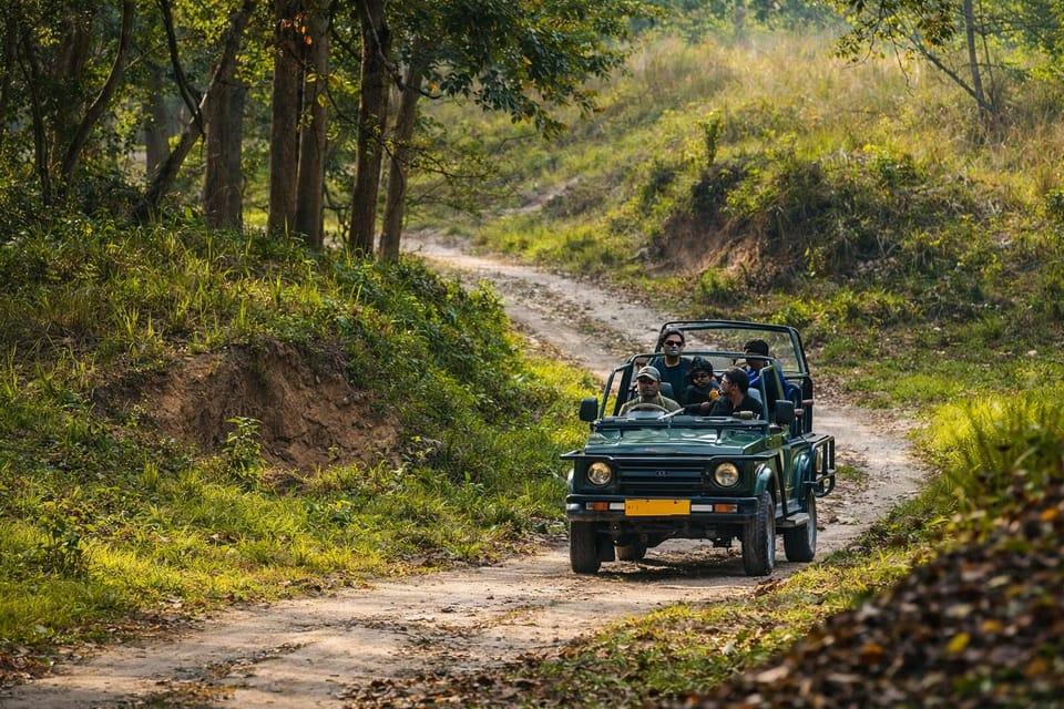 Rajaji Jungle Safari & Wildlife Adventure