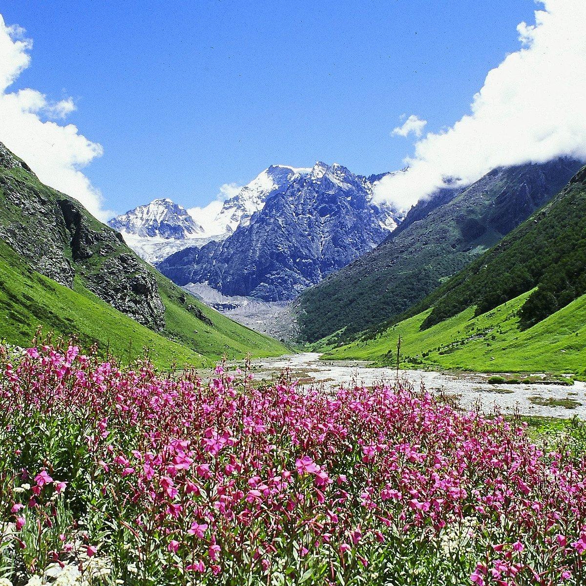 Valley of Flowers Trek & Hemkund Sahib Adventure 