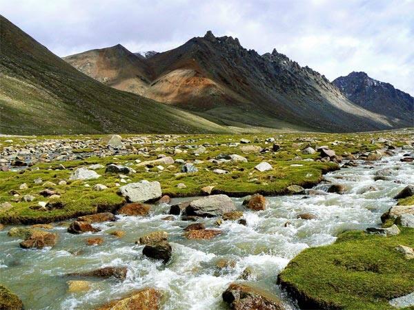 Askot Wildlife & Himalayan Nature Tour