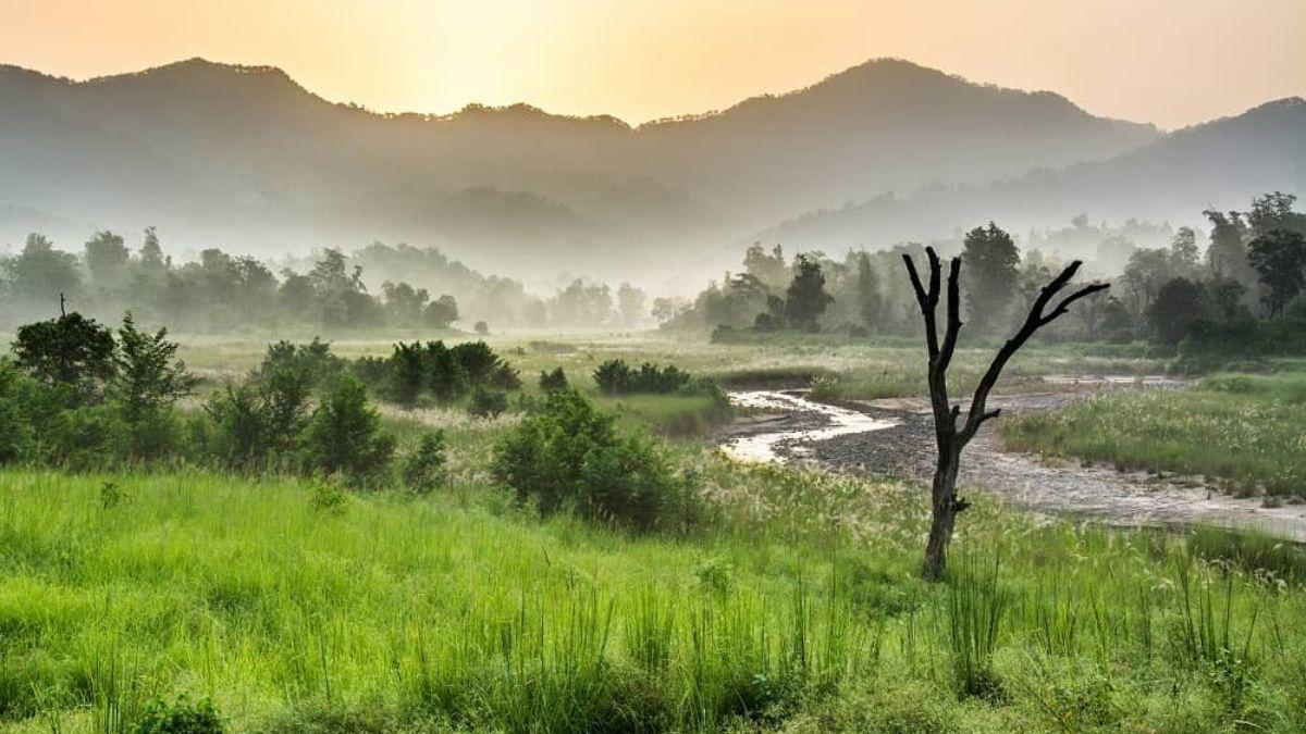 Rajaji Family Nature & Wildlife Getaway