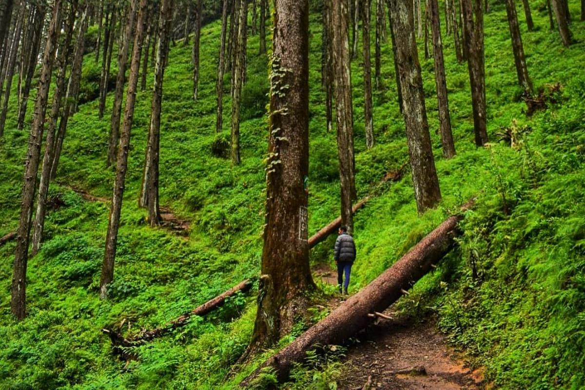 Chakrata Hill Station Tour Package