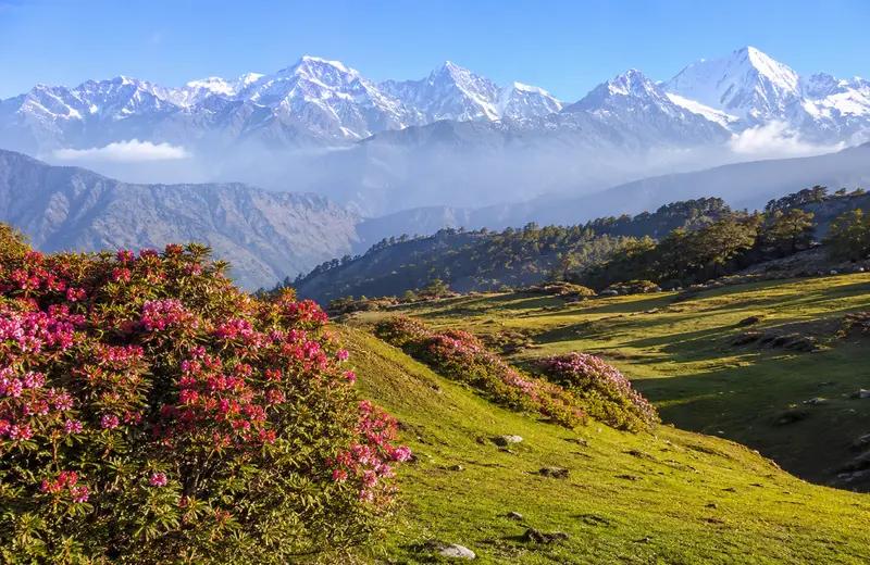 Chopta Honeymoon Escape Package