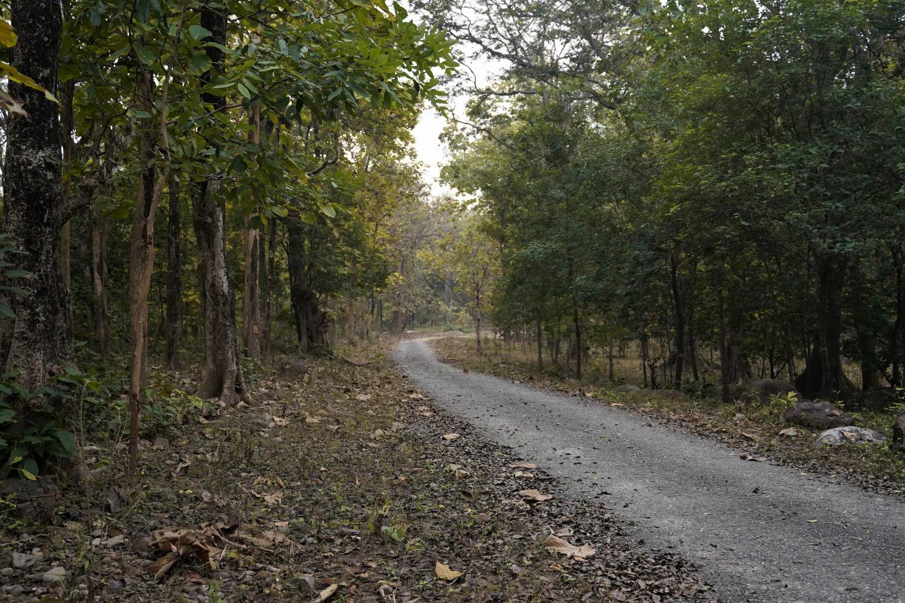 Nandhaur Wildlife Sanctuary Tour Package