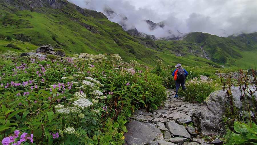 Valley of Flowers Trek & Hemkund Sahib Adventure 