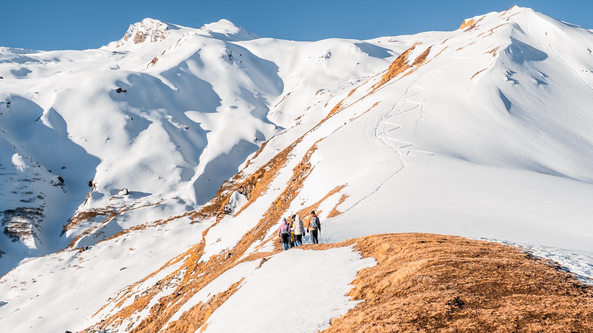 Pangarchulla Peak Trek Adventure Package