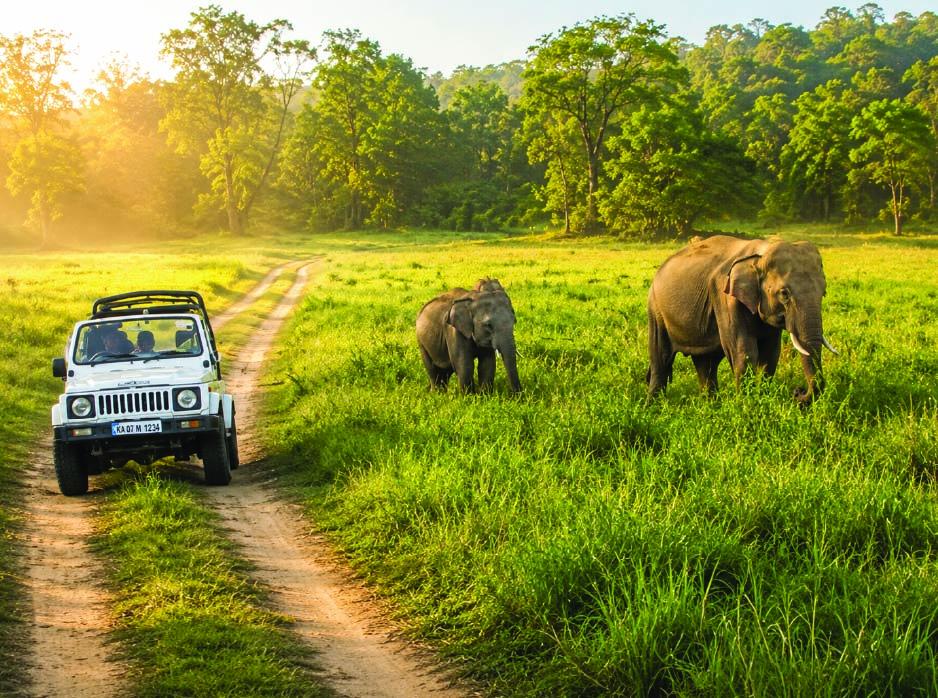 Jim Corbett Jungle Safari & Nature Retreat