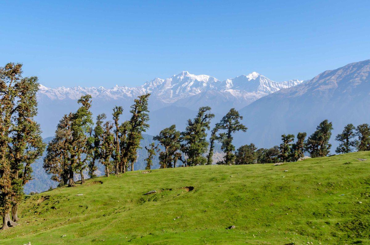 Chopta Honeymoon Escape Package