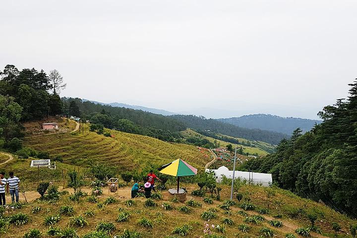 Ranikhet Hill Station Tour Package