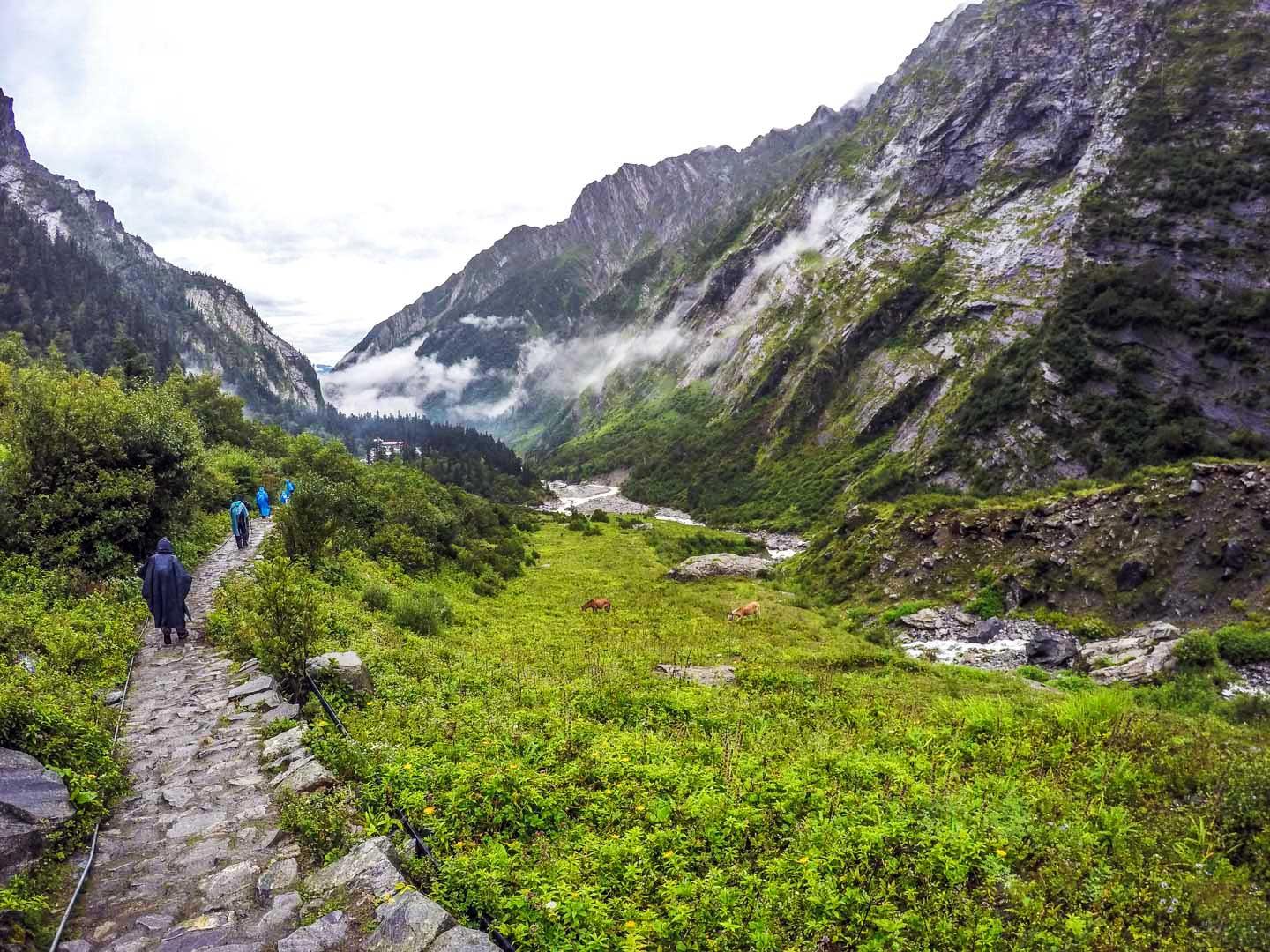 Nanda Devi & Valley of Flowers Nature Expedition