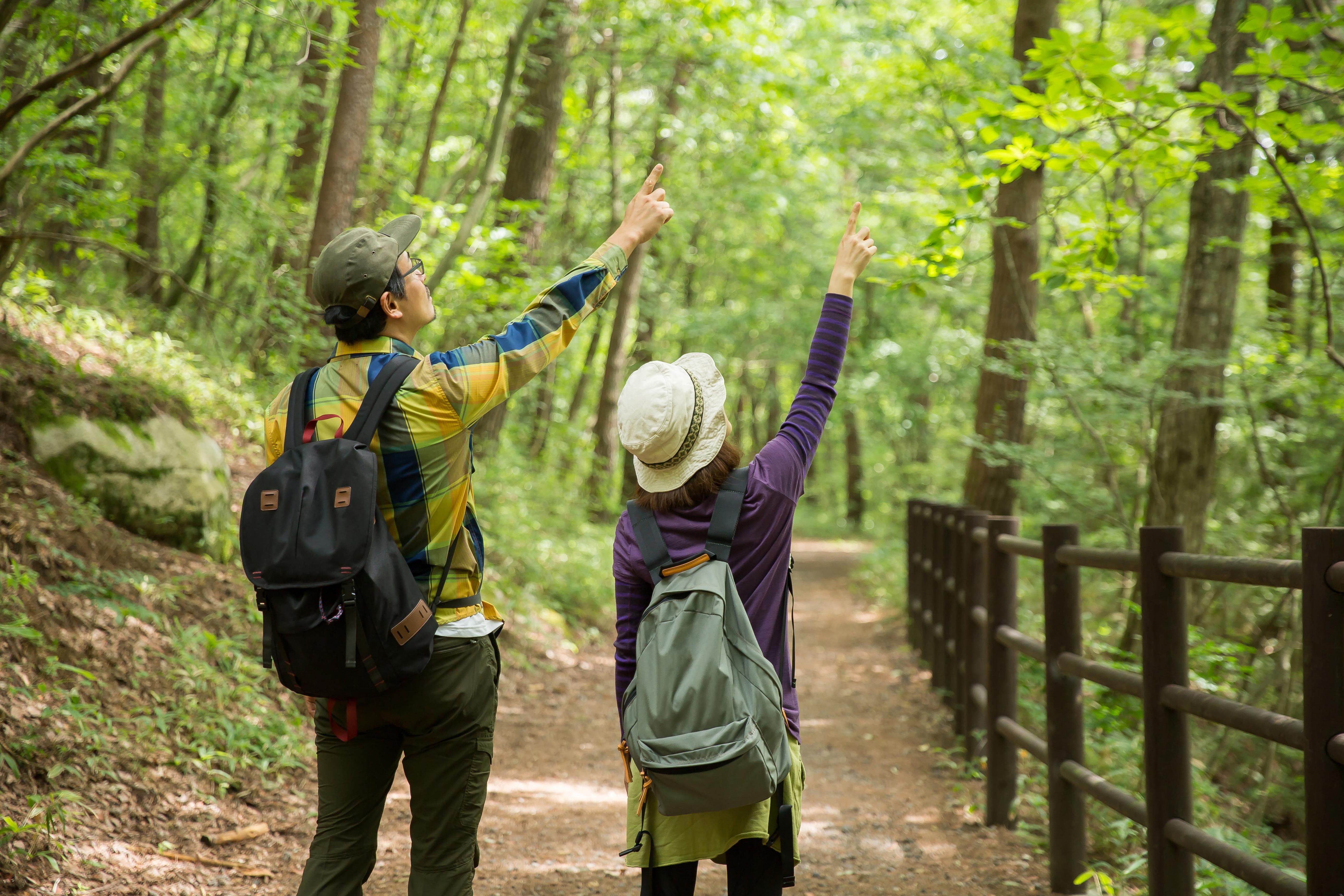 Mukteshwar Honeymoon Tour Package