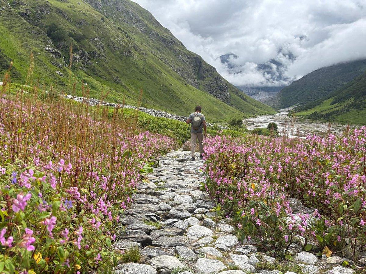 Nanda Devi & Valley of Flowers Nature Expedition