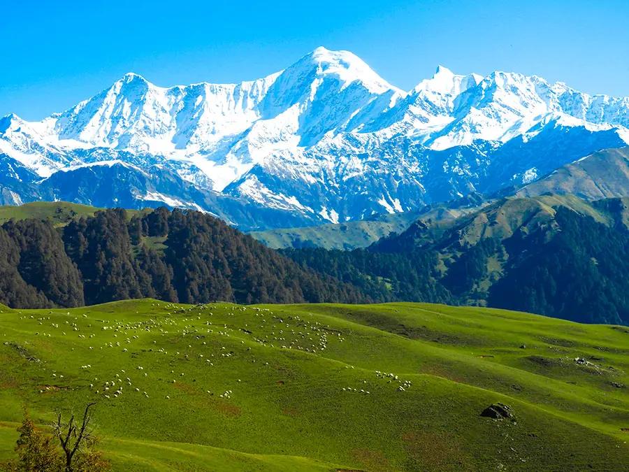Dayara Bugyal Trek & Camping Package